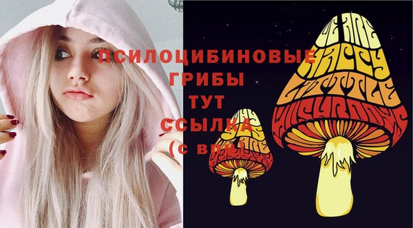 эйфоретик Алексеевка